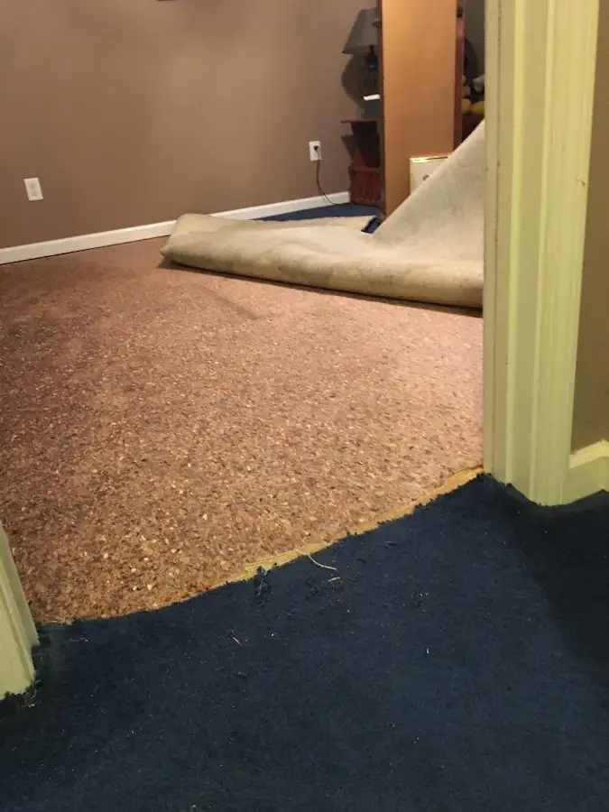 Carpet pad removal revealing water damage during Water Mitigation Services in Plattsburgh